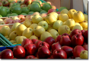 Pommes dans le Vaucluse